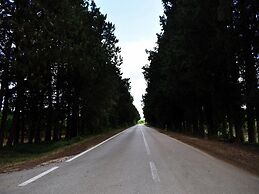 Ferienhaus Villa Stella