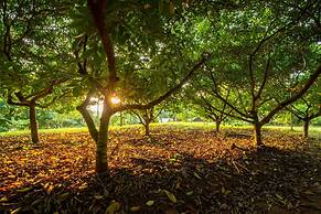 Tentgram Country house Kochi