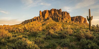 104th Mesa