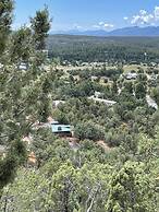 Glass House Elk Rim Pine