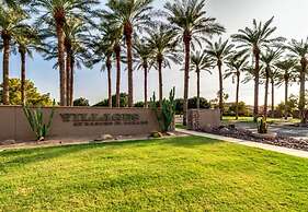 Palmen Maricopa