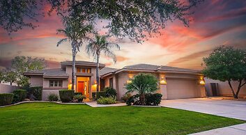 Lynx Chandler/ocotillo