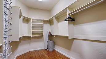 Lynx Chandler/ocotillo