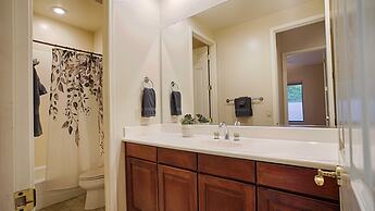 Lynx Chandler/ocotillo