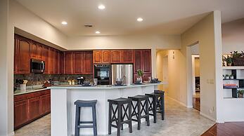 Lynx Chandler/ocotillo