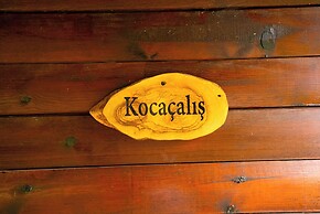 Defne Olive Gardens