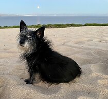 Beautiful Coastal Retreat in Punta Paloma, Tarifa