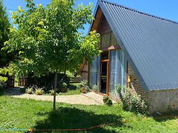 Tenora Suit Bungalov