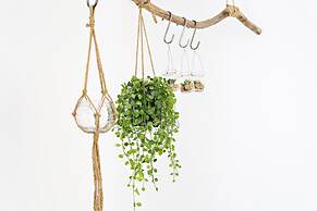 Formosa Bay - AM in Tavira