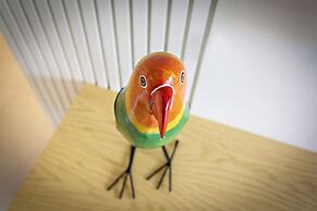 Casas do Forte DC in Tavira