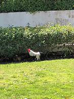 Casa Santo in Tavira