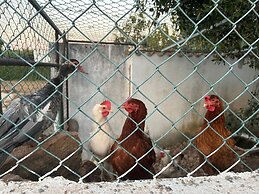Casa Santo in Tavira