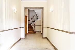 Blue Peacock in Faro