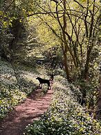 Beautiful Cottage Near Bath