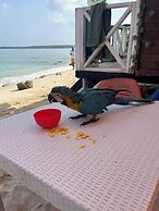 Pura Vida la casa del Cholo