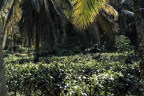 Tekanda Lodge