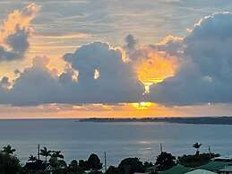 Hawaii Magic Skies Farmstay