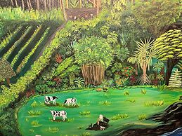 Hawaii Magic Skies Farmstay