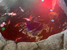 Hawaii Magic Skies Farmstay