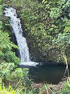 Hawaii Magic Skies Farmstay