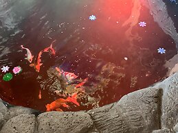 Hawaii Magic Skies Farmstay