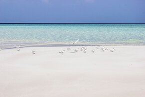 Hakuna Maldives