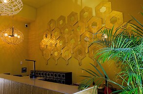 Casona Oaxaca Historia y Paz