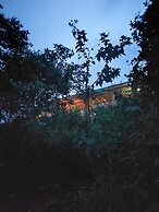 Bwindi Neckview Lodge