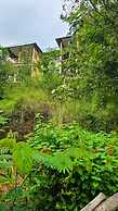 Bwindi Neckview Lodge
