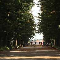 Painters House Biennale Arsenale