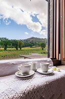 Wine Estate Paradiso di Cacuci