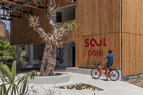 Soul Paje Managed by TOC