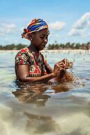 Soul Paje Managed by TOC