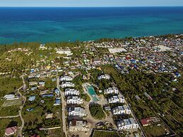 Soul Paje Managed by TOC