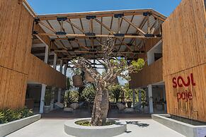 Soul Paje Managed by TOC