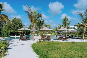 Soul Paje Managed by TOC