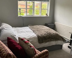 Luxury Central Hale Living