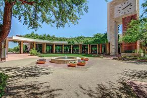 Surprise Farms Paradise