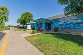 Surprise Farms Paradise