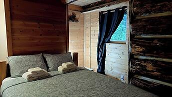 Rustic Beaverfoot Lodge Dream Cabin