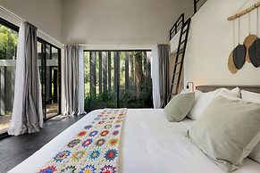 Casa Helechos Amazing Architechture