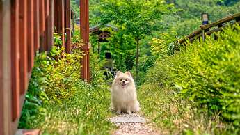 Gapyeong Swimteo Pet Pension
