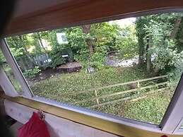 River Bliss in Whelspool