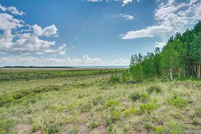 24-00050 Mtn Views & Deck: Fairplay Cabin