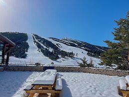 Auberge Alpina