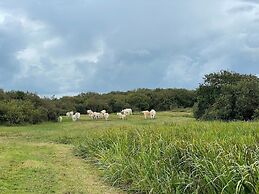 Tent Lodge With Private Kitchen and Bathroom