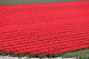 Apartment With Garden in Dutch Countryside
