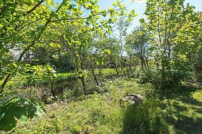 Modern Home With Garden