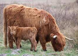 Fantastic Home by the Beach