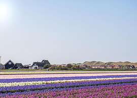 Apartment in De Koog Near Texel Beach